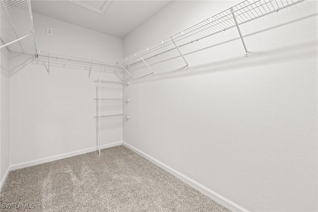 spacious closet with carpet