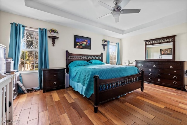 bedroom featuring a tray ceiling, multiple windows, wood finished floors, and a ceiling fan