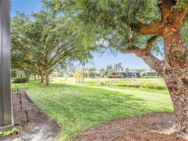 view of yard with a water view