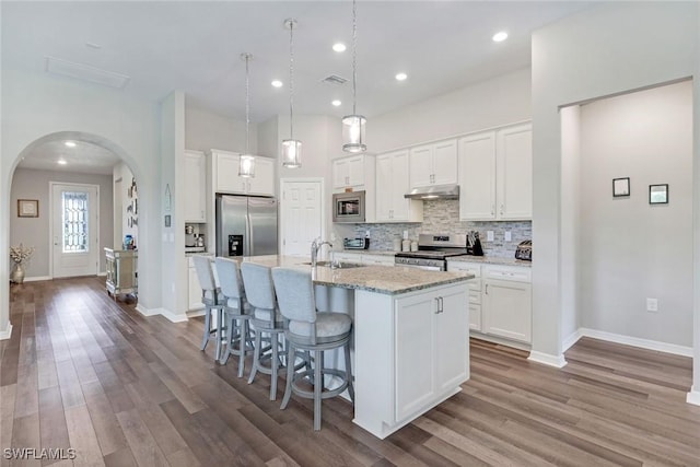 9368 Night Heron Ln, Naples, FL 34120 - kitchen with appliances with stainless steel finishes, under cabinet range hood, arched walkways, wood finished floors, and an island with sink