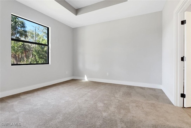 unfurnished room with a raised ceiling and light carpet