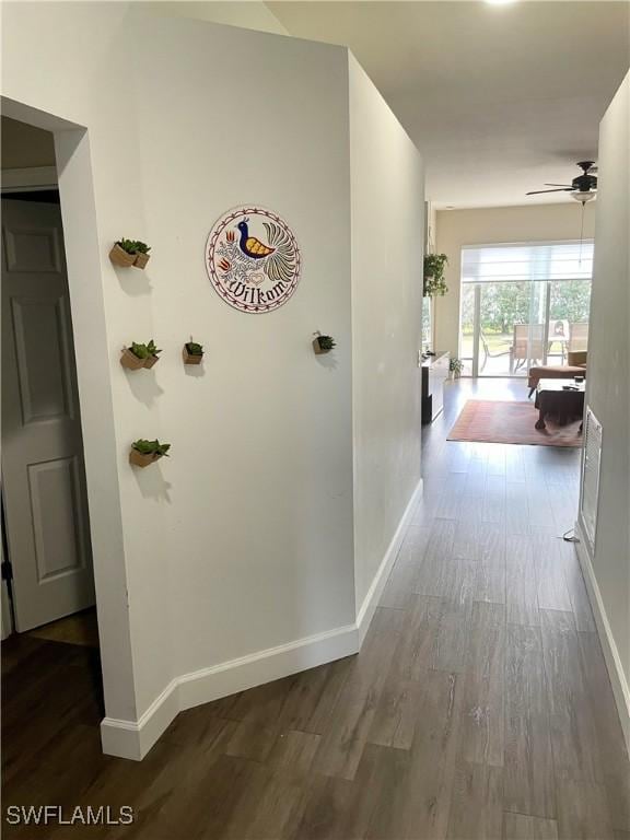 4176 Madison St, Ave Maria, FL 34142 - hallway with baseboards and dark wood-style floors