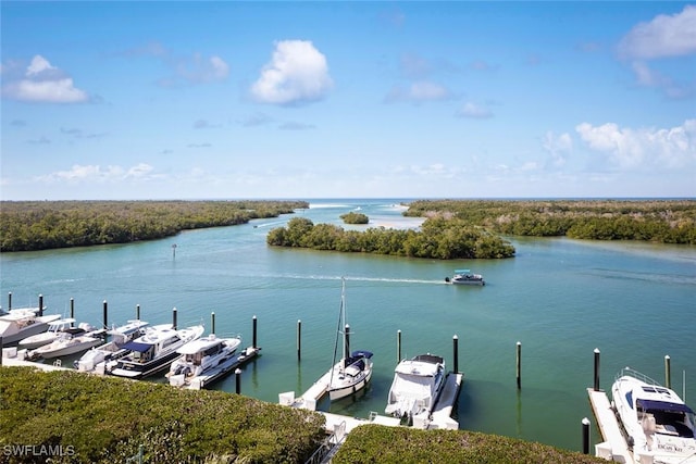 dock area featuring a water view