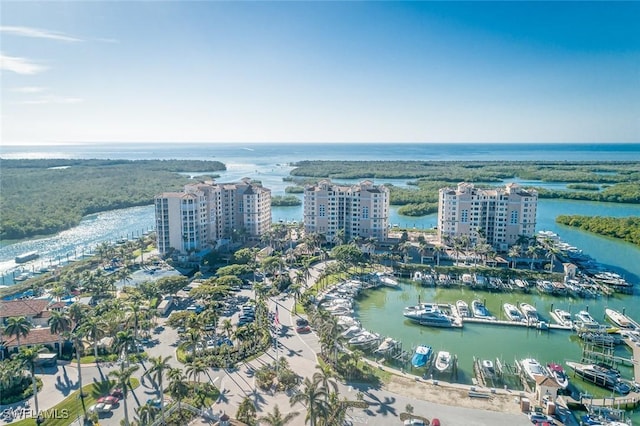 drone / aerial view with a water view