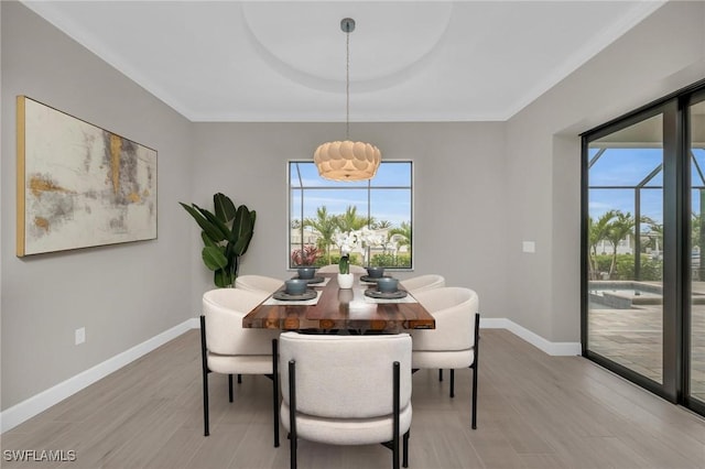 dining area featuring a healthy amount of sunlight and light wood-type flooring