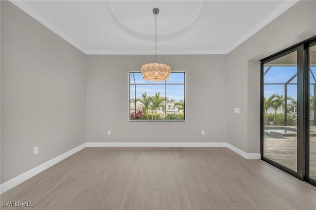 empty room featuring a healthy amount of sunlight and light wood-type flooring