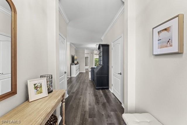 corridor featuring ornamental molding and dark hardwood / wood-style floors