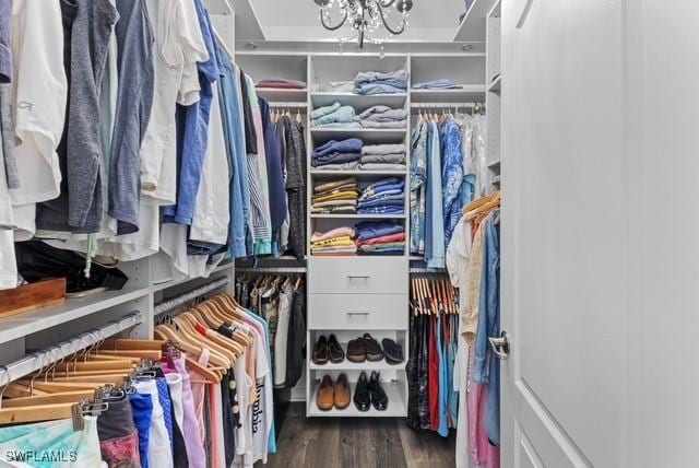 spacious closet with an inviting chandelier and dark hardwood / wood-style flooring