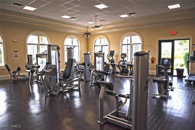 gym featuring crown molding, a paneled ceiling, and dark hardwood / wood-style floors