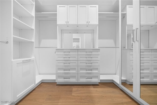 spacious closet with light hardwood / wood-style floors