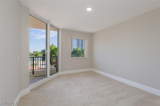 spare room with a wealth of natural light, light colored carpet, and expansive windows