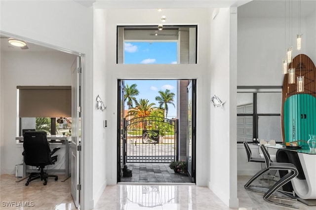 entrance foyer featuring a towering ceiling and a healthy amount of sunlight