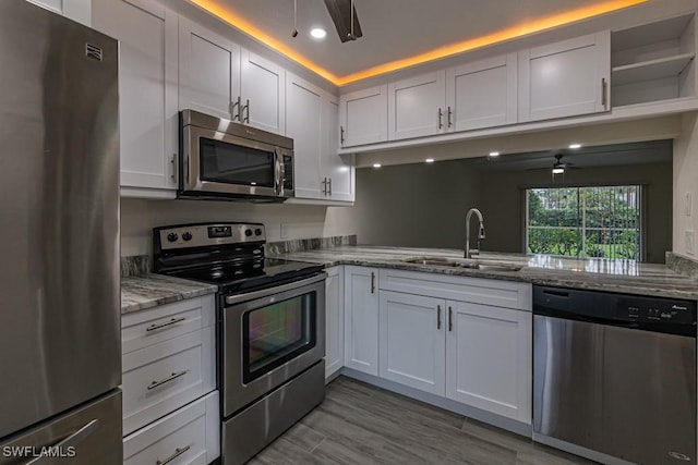 kitchen with light stone countertops, appliances with stainless steel finishes, a sink, ceiling fan, and wood finished floors