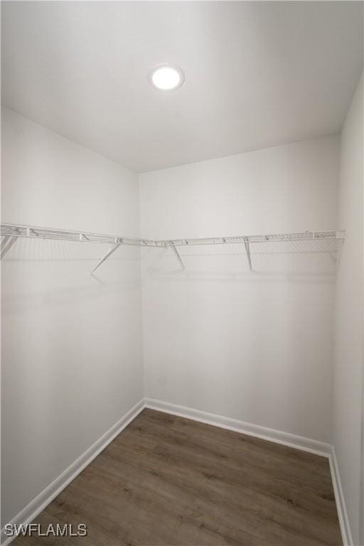 spacious closet with dark hardwood / wood-style floors