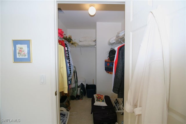 view of spacious closet