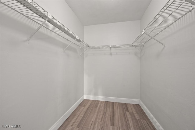 walk in closet featuring hardwood / wood-style floors