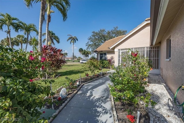 6094 Westbourgh Dr, Naples, FL 34112 - view of yard
