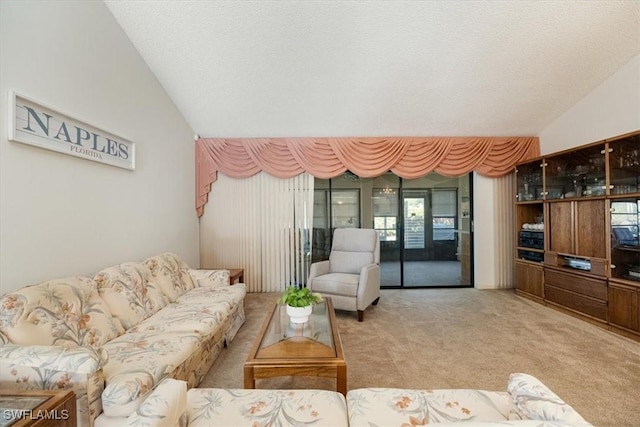 6094 Westbourgh Dr, Naples, FL 34112 - living area with lofted ceiling and carpet