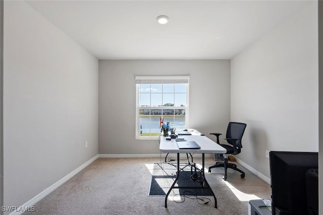 home office featuring light colored carpet