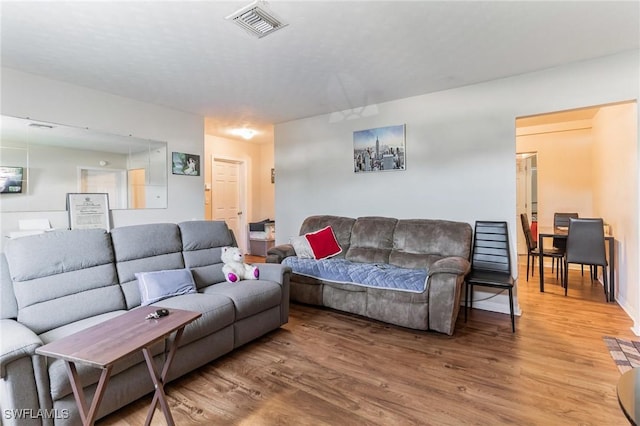 living room featuring wood-type flooring