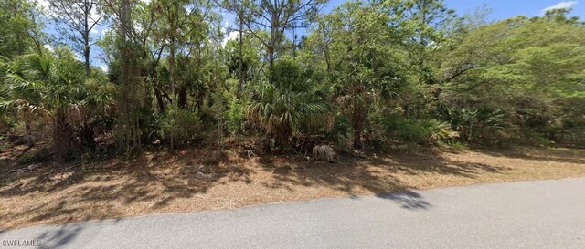 14223 Cain Ave, Port Charlotte, FL 33953