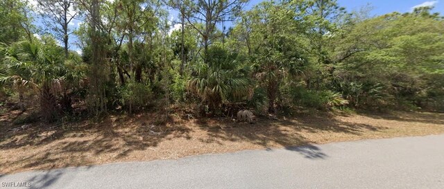 14223 Cain Ave, Port Charlotte FL, 33953 land for sale