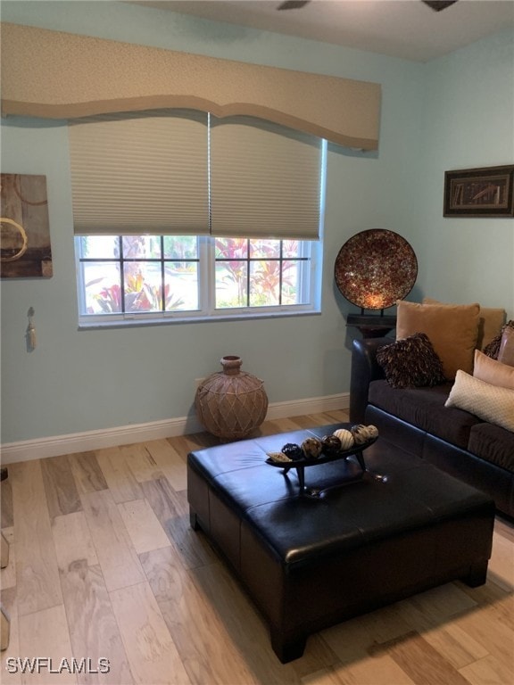 living room with light hardwood / wood-style flooring and a healthy amount of sunlight