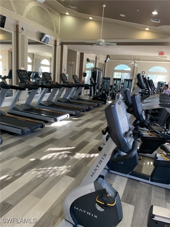 exercise room featuring carpet, a towering ceiling, and ceiling fan