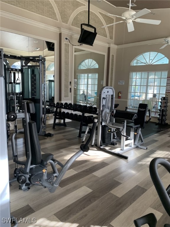 exercise room with crown molding, ceiling fan, and a towering ceiling