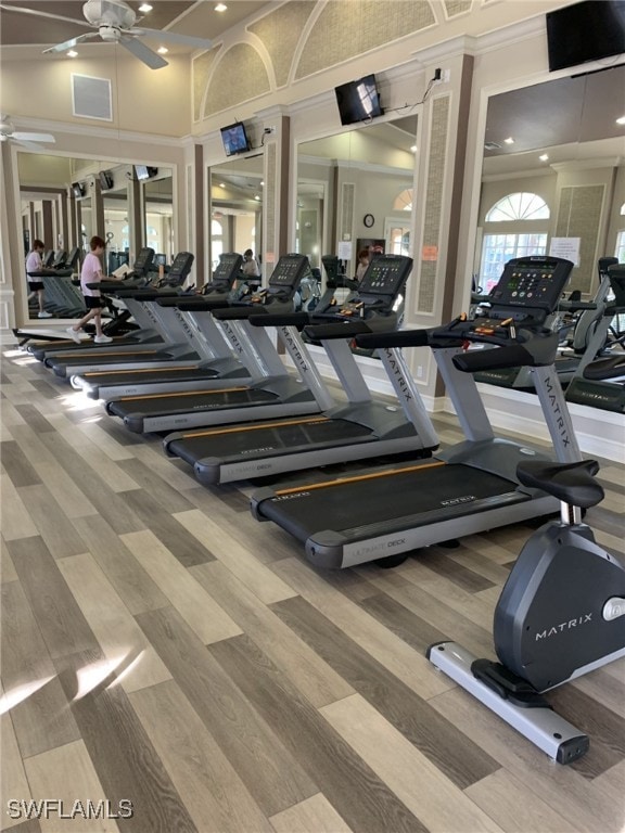 workout area featuring ceiling fan, carpet floors, and a high ceiling