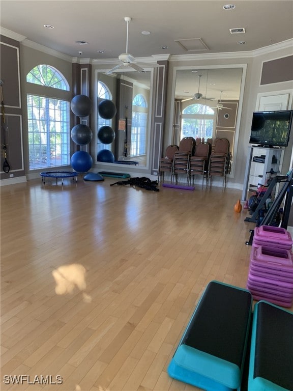 gym featuring ornamental molding, wood-type flooring, and a wealth of natural light