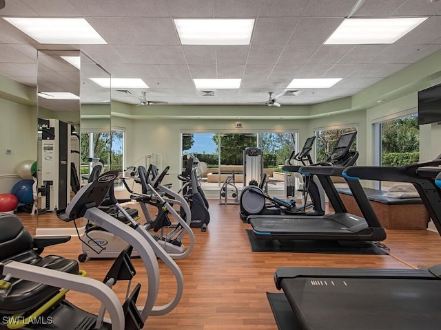 gym with hardwood / wood-style flooring, a paneled ceiling, and a wealth of natural light