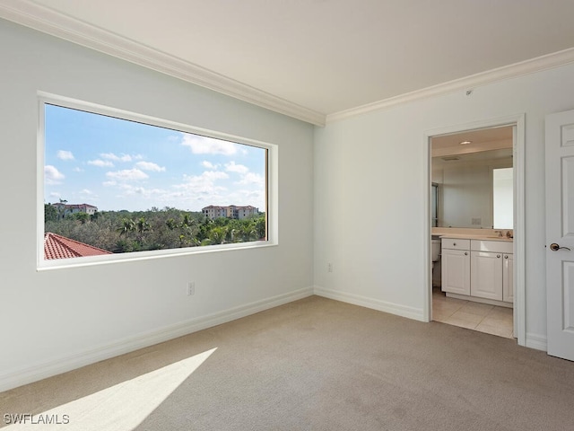 empty room featuring light carpet and crown molding