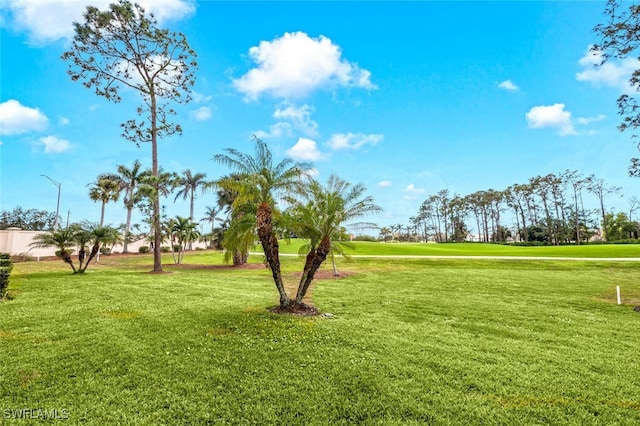 view of home's community with a yard