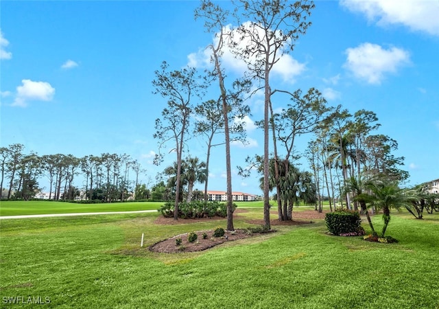 view of home's community featuring a lawn