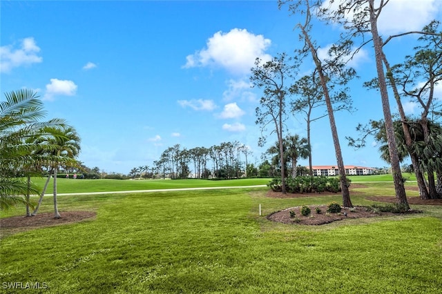 view of community with a lawn