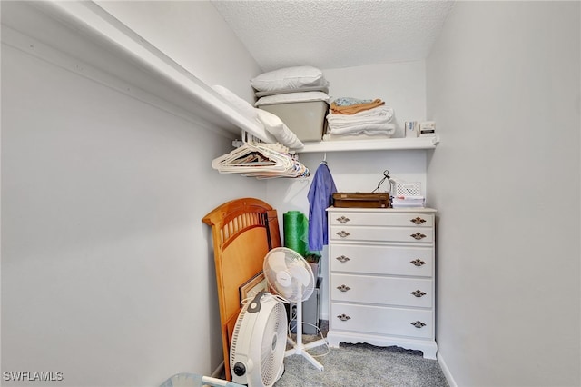 spacious closet with carpet floors