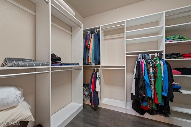 walk in closet with dark hardwood / wood-style floors