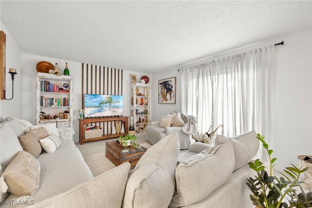 living room with a textured ceiling