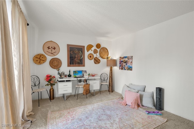 office area featuring a textured ceiling and light colored carpet