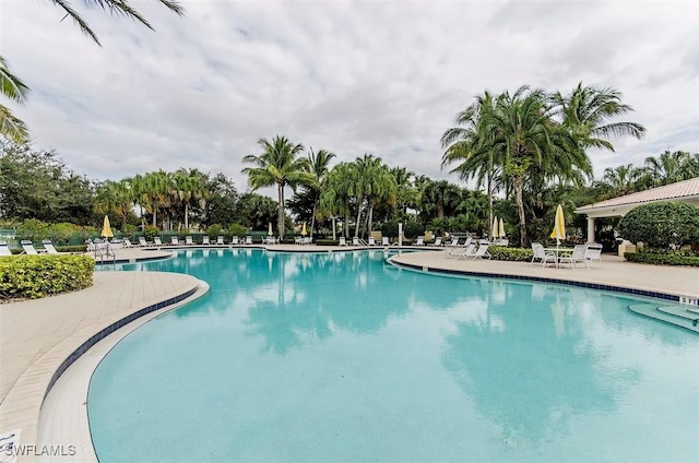 view of swimming pool with a patio area