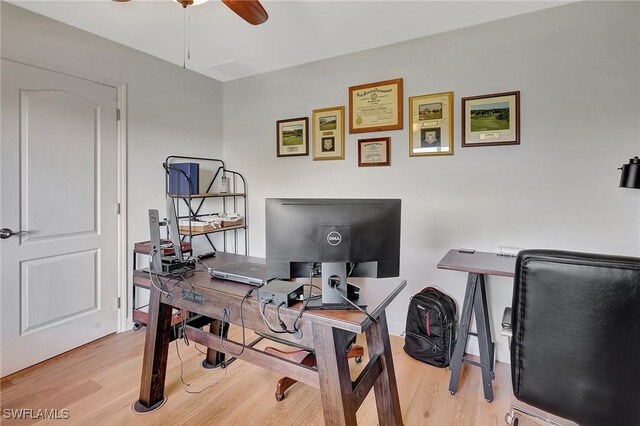 office space featuring light hardwood / wood-style floors and ceiling fan