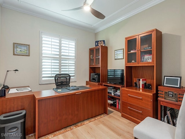 home office featuring light wood finished floors, a ceiling fan, and crown molding