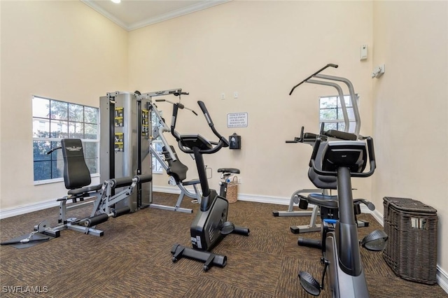 workout area featuring ornamental molding and a towering ceiling