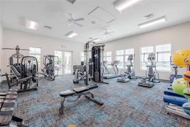 gym featuring plenty of natural light, french doors, and carpet