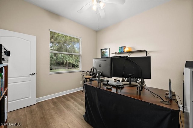 home office with ceiling fan and light wood-type flooring