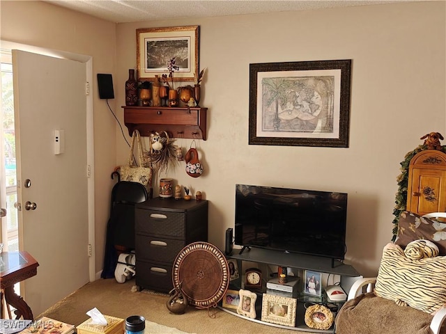 living room with carpet