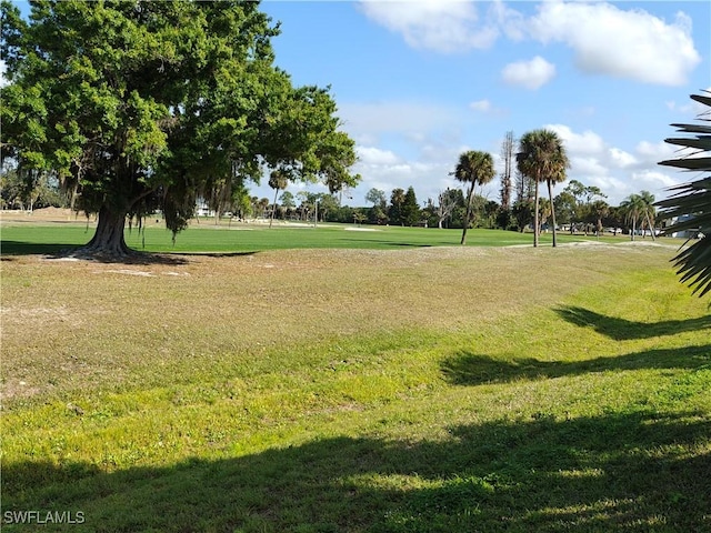 view of community featuring a yard