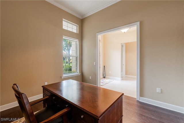 office featuring hardwood / wood-style flooring and crown molding