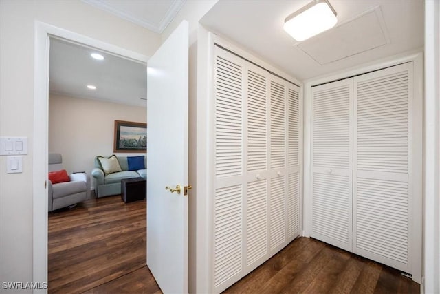 hall featuring crown molding and dark wood-type flooring